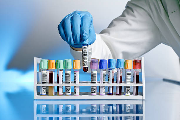 Lab 3